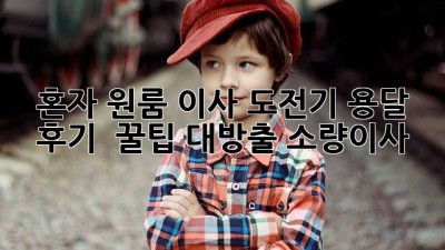 혼자 원룸 이사 도전기💪 용달 후기 & 꿀팁 대방출! #소량이사